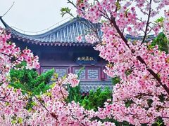 -堤角公园