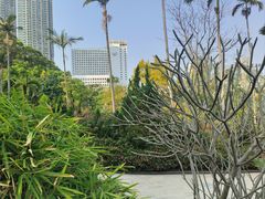 -九龙公园