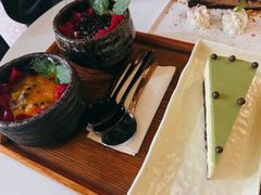 手工自制野生蓝莓牦牛酸奶-No Cat 手碟