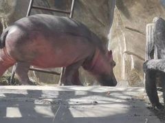 -新疆天山野生动物园