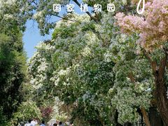 -国家植物园南园