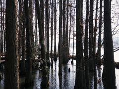 -东湖落雁景区