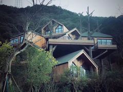 -杭州开元森泊度假乐园