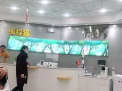 -编程猫·少儿编程(绿宝校区)