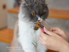 -PUZZLE COFFEE 拼图咖啡