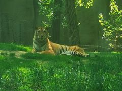 -北京野生动物园