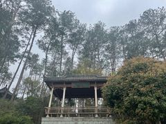 -千岛湖东南湖区