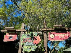 -奥兰多迪士尼动物王国乐园