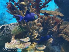 -多彩贵州城极地海洋世界