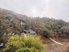 -千岛湖东南湖区