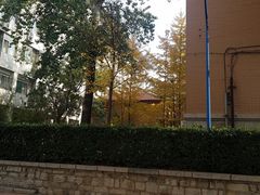 -山东大学(千佛山校区)