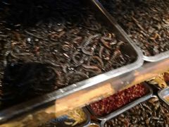 -昆虫窝子·特色云南菜(拓东路总店)