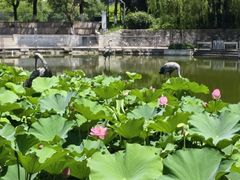 -苏州河梦清园环保主题公园