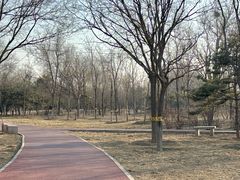-绿堤公园