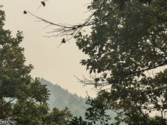 -吉林市朱雀山国家森林公园