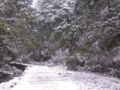 -青城山