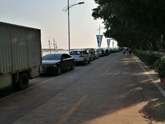 -大湾区中央湿地公园-十九涌