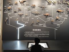 -自贡恐龙博物馆