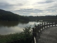 -风云岭森林公园