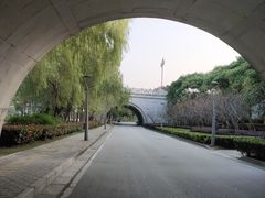 -尚贤河湿地