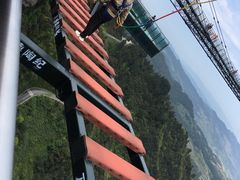 -梦幻奥陶纪景区