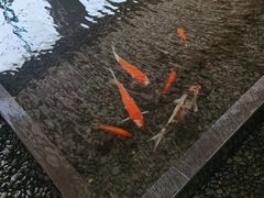 天明山酒店大堂-天明山温泉大酒店
