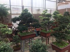 -秦美花卉(天朗·莱茵小城2期店)