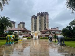 -碧桂园润杨溪谷温泉酒店