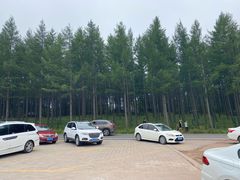 -塞罕坝国家级自然保护区