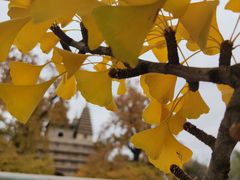 -北京石刻艺术博物馆(五塔寺)