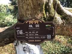 -张坝桂圆林公园