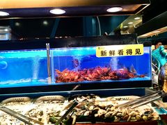 -苏格里岛自助海鲜烤肉(青秀万达店)