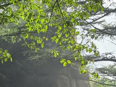 -崂山巨峰游览区