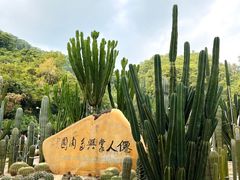 -深圳仙湖植物园