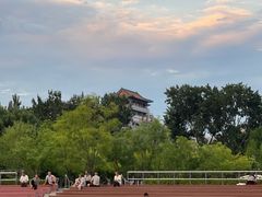 -莲花池公园