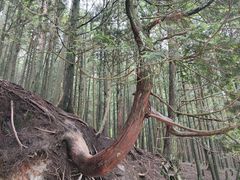 -含鄱口