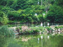 -石塘人家
