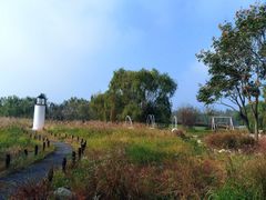 -梁鸿国家湿地公园