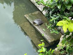 -宁波市保国寺古建筑博物馆