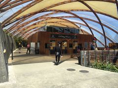 -怀托摩萤火虫洞