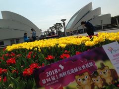 -上海鲜花港