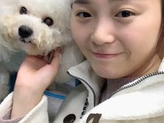 -康成宠物医院24H·CT·核磁共振