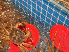 -焰江山海鲜牛排烤肉自助(锦华万达二星店)