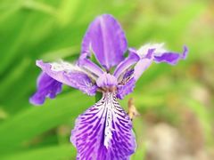 -黄陂区野村谷景区