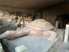 -上海佘山国家森林公园天马山园