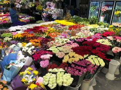-双季花艺园艺市场(浦东店)