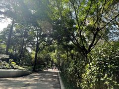 -成都动物园