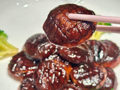 -弘馆·镜湖印象