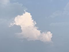 -中国农业博物馆