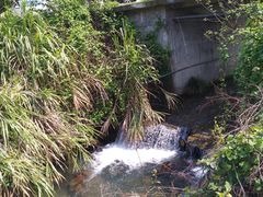 -天花井景区